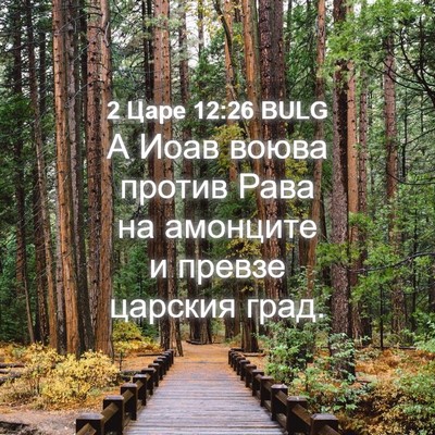 Picture 04 - 2 Царе 12:26 BULG - А Иоав воюва против Рава на - Bible Verse Picture