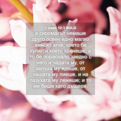Picture 04 - 2 Царе 12:3 BULG - а сиромахът нямаше друго - Bible Verse Picture