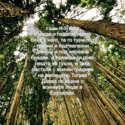 Picture 04 - 2 Царе 12:31 BULG - Изведе и людете, които бяха - Bible Verse Picture