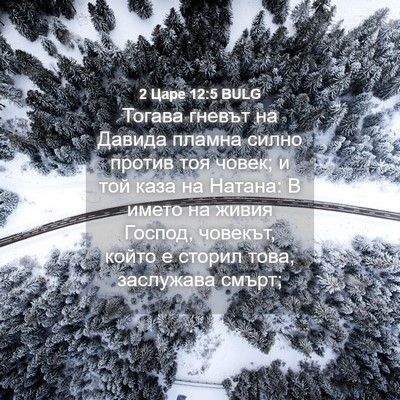 Picture 04 - 2 Царе 12:5 BULG - Тогава гневът на Давида - Bible Verse Picture