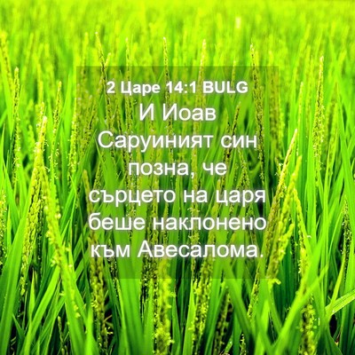 Picture 04 - 2 Царе 14:1 BULG - И Иоав Саруиният син позна, - Bible Verse Picture