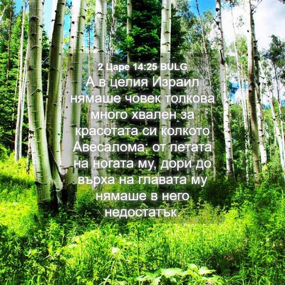 Picture 04 - 2 Царе 14:25 BULG - А в целия Израил нямаше - Bible Verse Picture