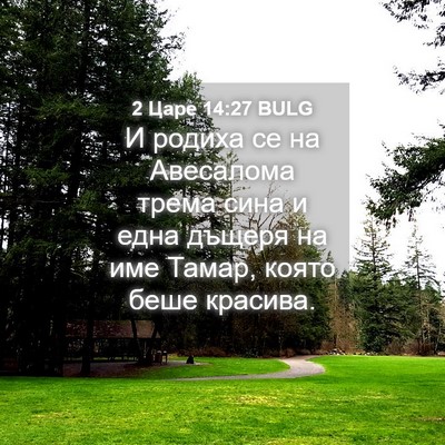 Picture 04 - 2 Царе 14:27 BULG - И родиха се на Авесалома - Bible Verse Picture