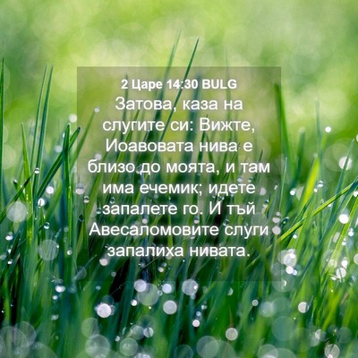 Picture 04 - 2 Царе 14:30 BULG - Затова, каза на слугите си: - Bible Verse Picture