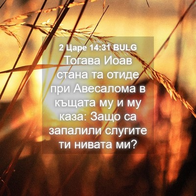 Picture 04 - 2 Царе 14:31 BULG - Тогава Иоав стана та отиде - Bible Verse Picture