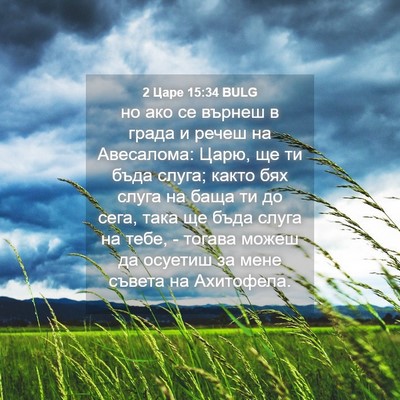 Picture 04 - 2 Царе 15:34 BULG - но ако се върнеш в града и - Bible Verse Picture