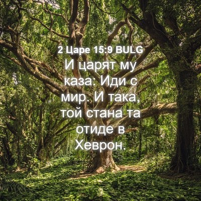 Picture 04 - 2 Царе 15:9 BULG - И царят му каза: Иди с мир. И - Bible Verse Picture