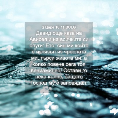 Picture 04 - 2 Царе 16:11 BULG - Давид още каза на Ависея и - Bible Verse Picture