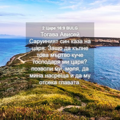 Picture 04 - 2 Царе 16:9 BULG - Тогава Ависей Саруиният - Bible Verse Picture
