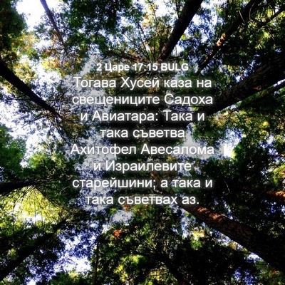 Picture 04 - 2 Царе 17:15 BULG - Тогава Хусей каза на - Bible Verse Picture