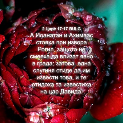 Picture 04 - 2 Царе 17:17 BULG - А Иоанатан и Ахимаас - Bible Verse Picture