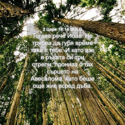 Picture 04 - 2 Царе 18:14 BULG - Тогава рече Иоав: Не трябва - Bible Verse Picture