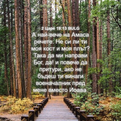 Picture 04 - 2 Царе 19:13 BULG - А най-вече на Амаса речете: - Bible Verse Picture
