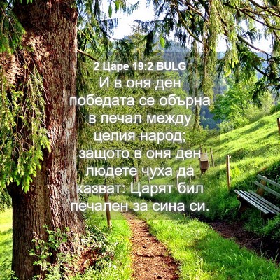 Picture 04 - 2 Царе 19:2 BULG - И в оня ден победата се - Bible Verse Picture