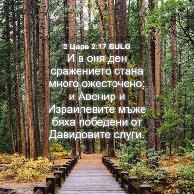 Picture 04 - 2 Царе 2:17 BULG - И в оня ден сражението - Bible Verse Picture