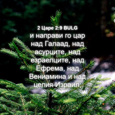 Picture 04 - 2 Царе 2:9 BULG - и направи го цар над - Bible Verse Picture
