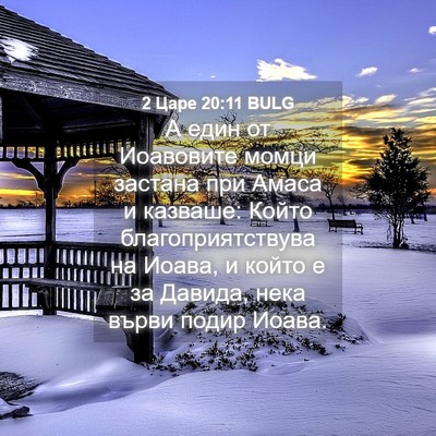 Picture 04 - 2 Царе 20:11 BULG - А един от Иоавовите момци - Bible Verse Picture