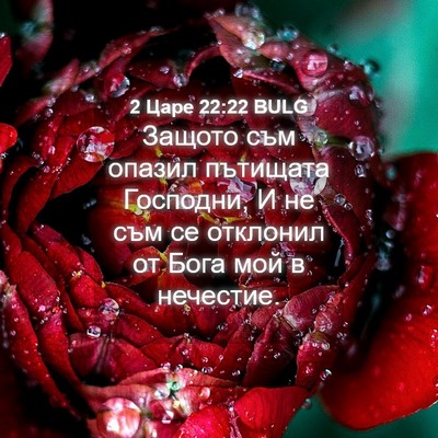 Picture 04 - 2 Царе 22:22 BULG - Защото съм опазил пътищата - Bible Verse Picture