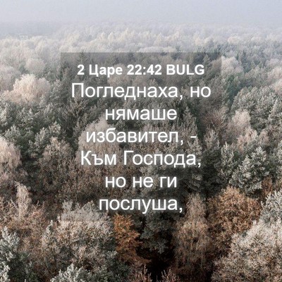 Picture 04 - 2 Царе 22:42 BULG - Погледнаха, но нямаше - Bible Verse Picture