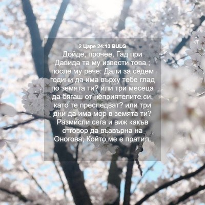Picture 04 - 2 Царе 24:13 BULG - Дойде, прочее, Гад при - Bible Verse Picture