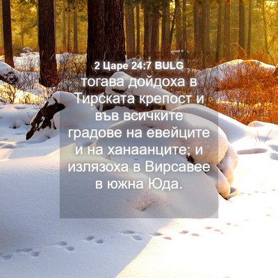Picture 04 - 2 Царе 24:7 BULG - тогава дойдоха в Тирската - Bible Verse Picture
