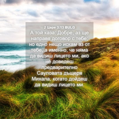 Picture 04 - 2 Царе 3:13 BULG - А той каза: Добре, аз ще - Bible Verse Picture