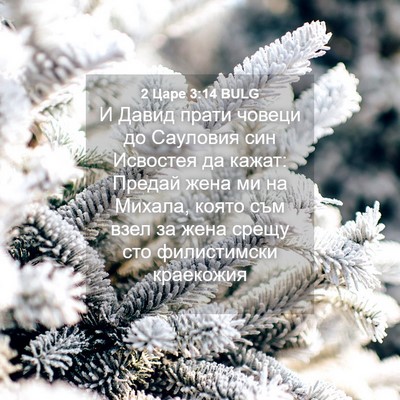 Picture 04 - 2 Царе 3:14 BULG - И Давид прати човеци до - Bible Verse Picture