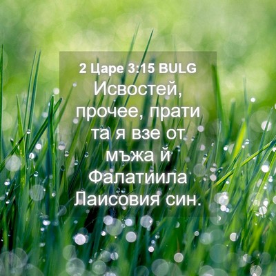 Picture 04 - 2 Царе 3:15 BULG - Исвостей, прочее, прати та - Bible Verse Picture