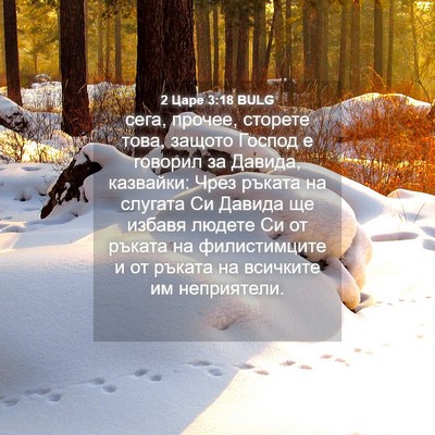 Picture 04 - 2 Царе 3:18 BULG - сега, прочее, сторете това, - Bible Verse Picture