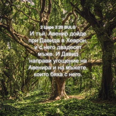 Picture 04 - 2 Царе 3:20 BULG - И тъй, Авенир дойде при - Bible Verse Picture