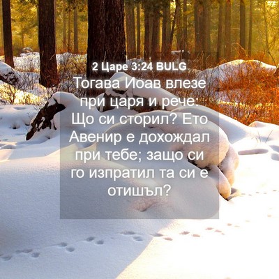 Picture 04 - 2 Царе 3:24 BULG - Тогава Иоав влезе при царя - Bible Verse Picture