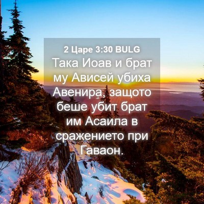Picture 04 - 2 Царе 3:30 BULG - Така Иоав и брат му Ависей - Bible Verse Picture