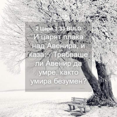Picture 04 - 2 Царе 3:33 BULG - И царят плака над Авенира, - Bible Verse Picture