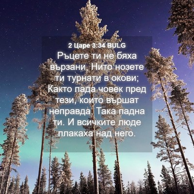Picture 04 - 2 Царе 3:34 BULG - Ръцете ти не бяха вързани, - Bible Verse Picture