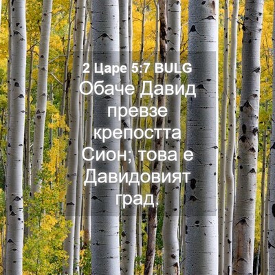 Picture 04 - 2 Царе 5:7 BULG - Обаче Давид превзе - Bible Verse Picture