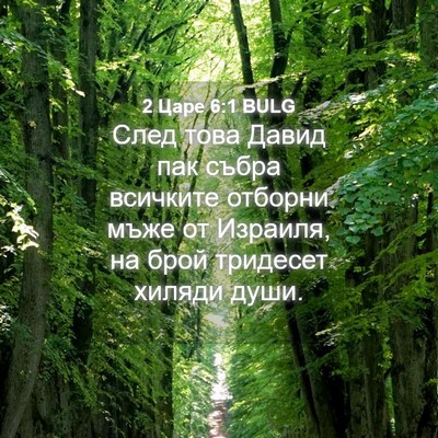 Picture 04 - 2 Царе 6:1 BULG - След това Давид пак събра - Bible Verse Picture