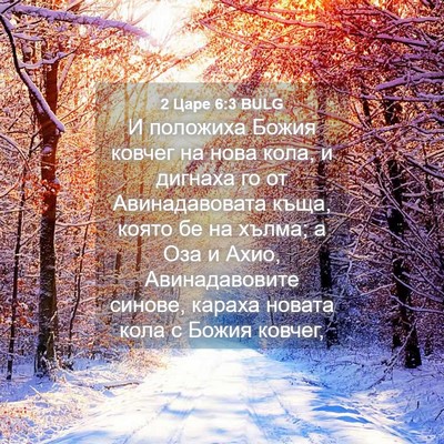 Picture 04 - 2 Царе 6:3 BULG - И положиха Божия ковчег на - Bible Verse Picture