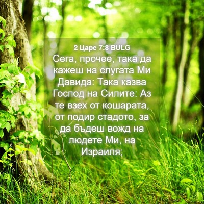 Picture 04 - 2 Царе 7:8 BULG - Сега, прочее, така да кажеш - Bible Verse Picture