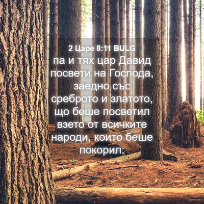 Picture 04 - 2 Царе 8:11 BULG - па и тях цар Давид посвети - Bible Verse Picture