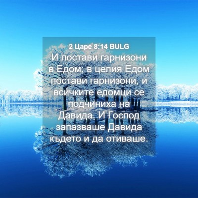 Picture 04 - 2 Царе 8:14 BULG - И постави гарнизони в Едом; - Bible Verse Picture