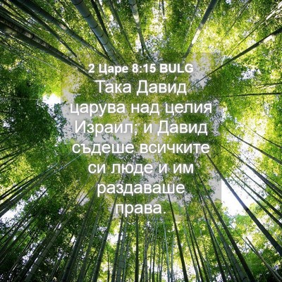Picture 04 - 2 Царе 8:15 BULG - Така Давид царува над - Bible Verse Picture