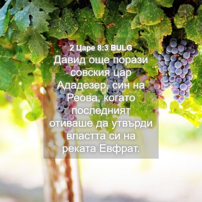Picture 04 - 2 Царе 8:3 BULG - Давид още порази совския - Bible Verse Picture