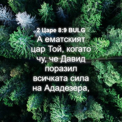 Picture 04 - 2 Царе 8:9 BULG - А ематският цар Той, когато - Bible Verse Picture