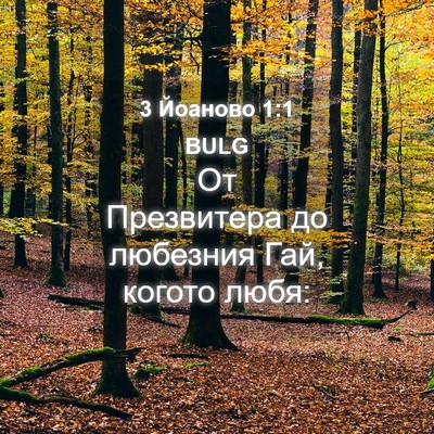 Picture 04 - 3 Йоаново 1:1 BULG - От Презвитера до любезния - Bible Verse Picture