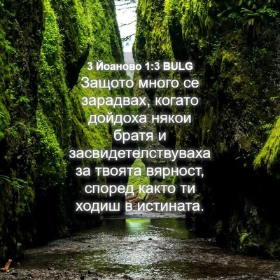 Picture 04 - 3 Йоаново 1:3 BULG - Защото много се зарадвах, - Bible Verse Picture