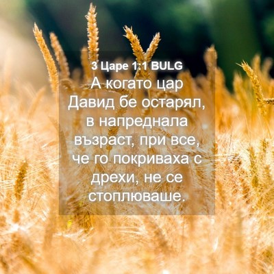 Picture 04 - 3 Царе 1:1 BULG - А когато цар Давид бе - Bible Verse Picture
