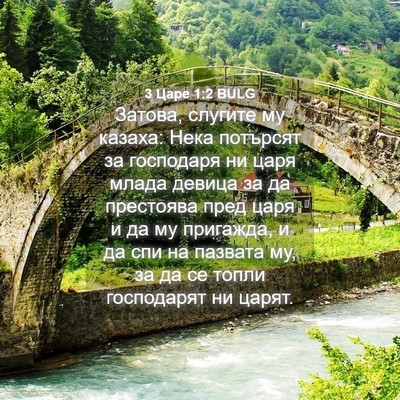 Picture 04 - 3 Царе 1:2 BULG - Затова, слугите му казаха: - Bible Verse Picture