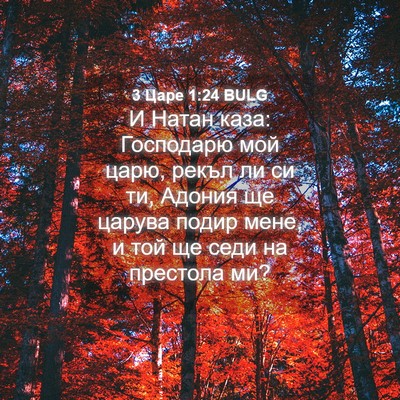 Picture 04 - 3 Царе 1:24 BULG - И Натан каза: Господарю мой - Bible Verse Picture