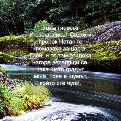 Picture 04 - 3 Царе 1:45 BULG - И свещеникът Садок и - Bible Verse Picture