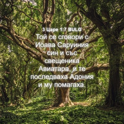 Picture 04 - 3 Царе 1:7 BULG - Той се сговори с Иоава - Bible Verse Picture